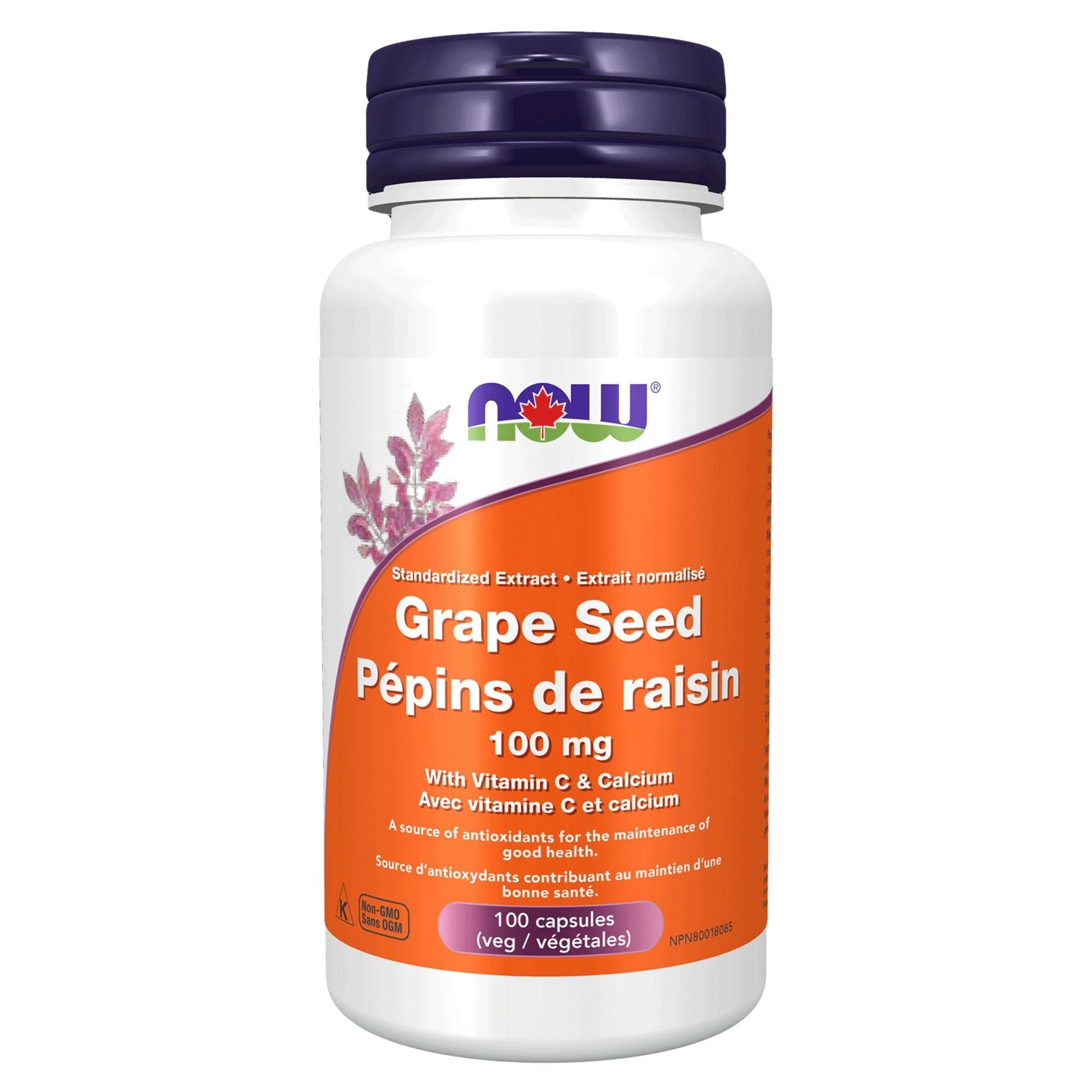NOW Grape Seed Extract 100mg 100 Vegetable Capsules