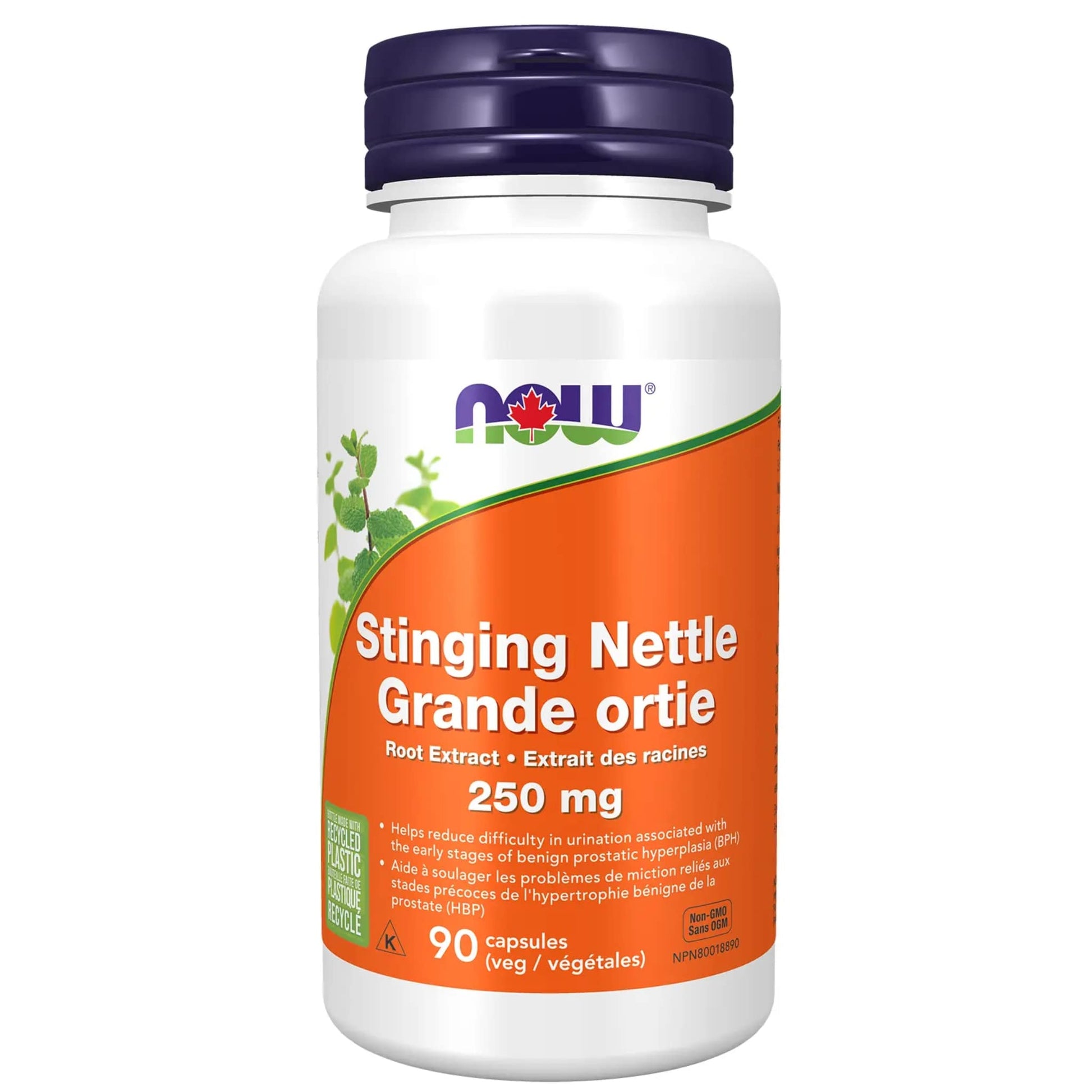 NOW Stinging Nettle Root Extract 250mg 90 Vegetable Capsules