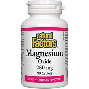 Natural Factors Magnesium Oxide 250 mg 90c - Nature's Source Inc