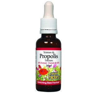 Natural Factors Bee Propolis 65% Extract 30 mL - Nature's Source Inc