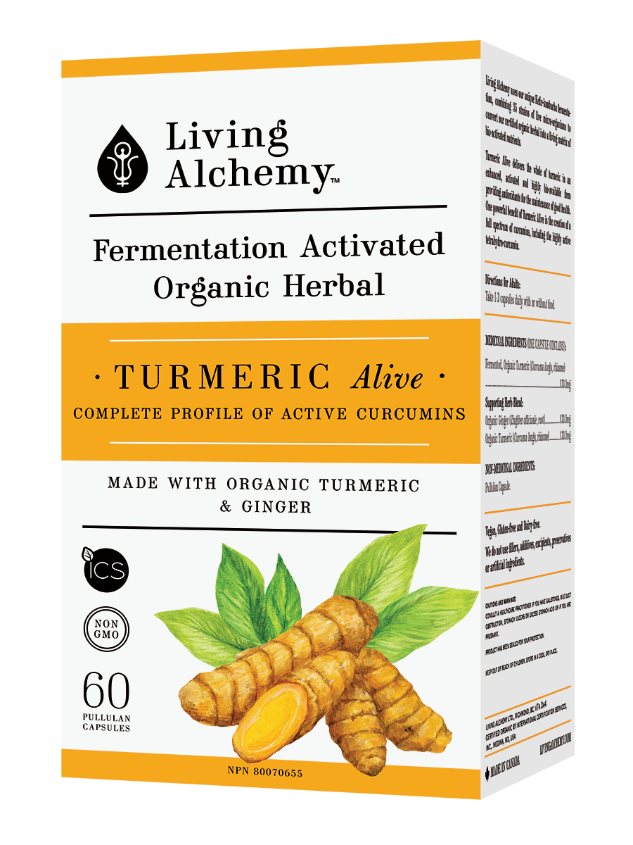 Living Alchemy Turmeric Alive 120 Capsules - Nature's Source Inc
