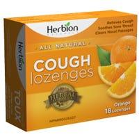 Herbion Sugar Free Orange Cough 18 loz - Nature's Source Inc