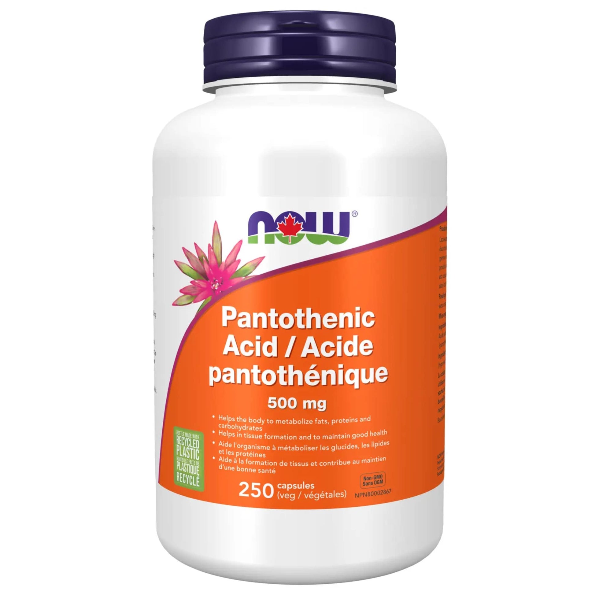 NOW Pantothenic Acid 500mg 250 Vegetable Capsules