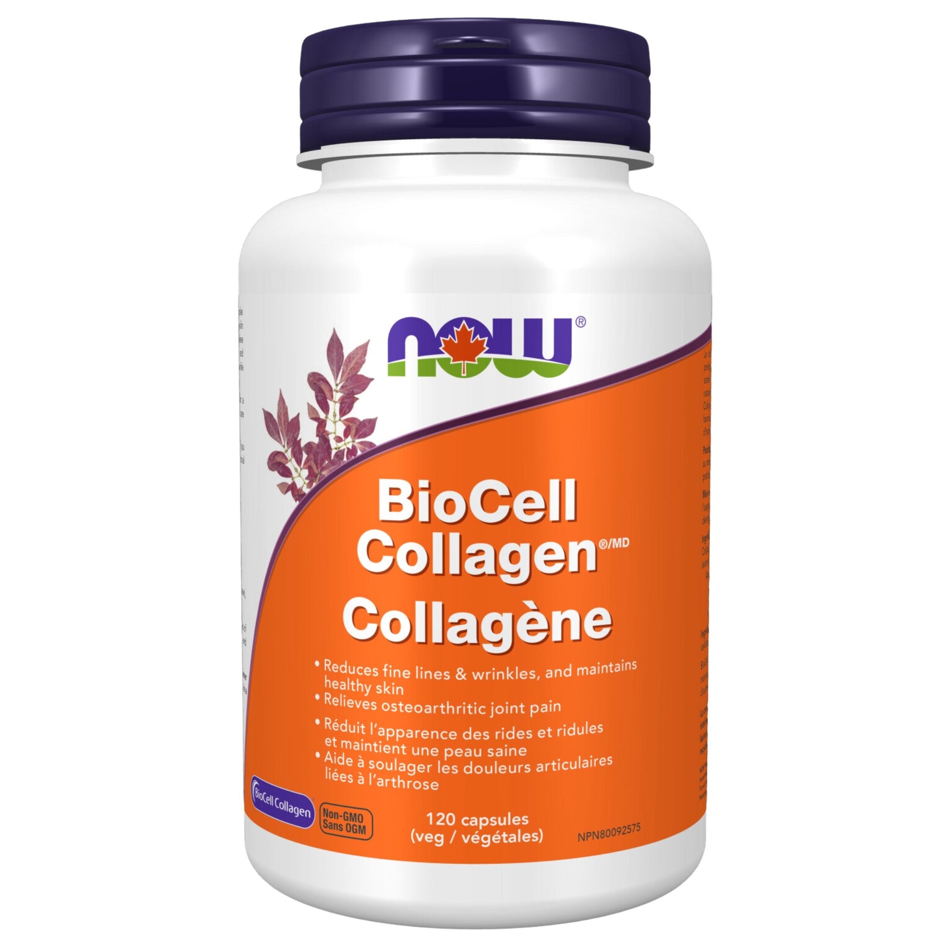 NOW BioCell Collagen Type II 500mg 120 Vegetable Capsules