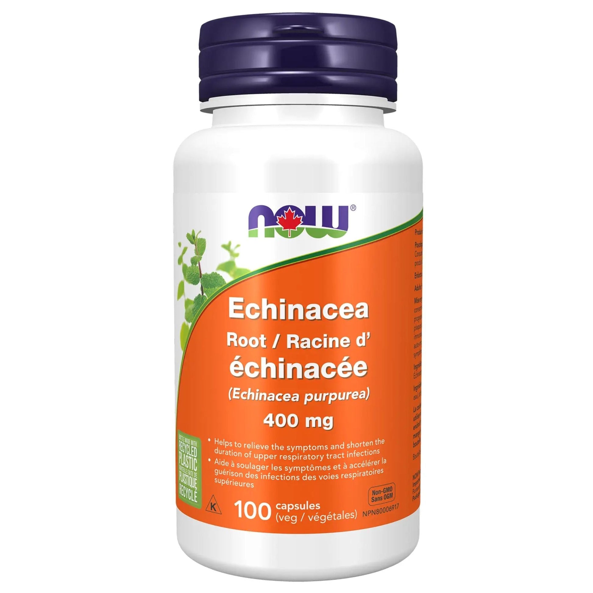 NOW Echinacea 400mg 100 Vegetable Capsules