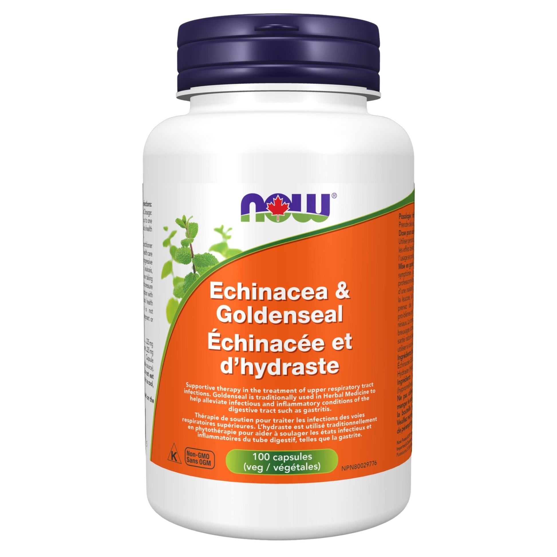 NOW Echinacea and Goldenseal 100 Vegetable Capsules