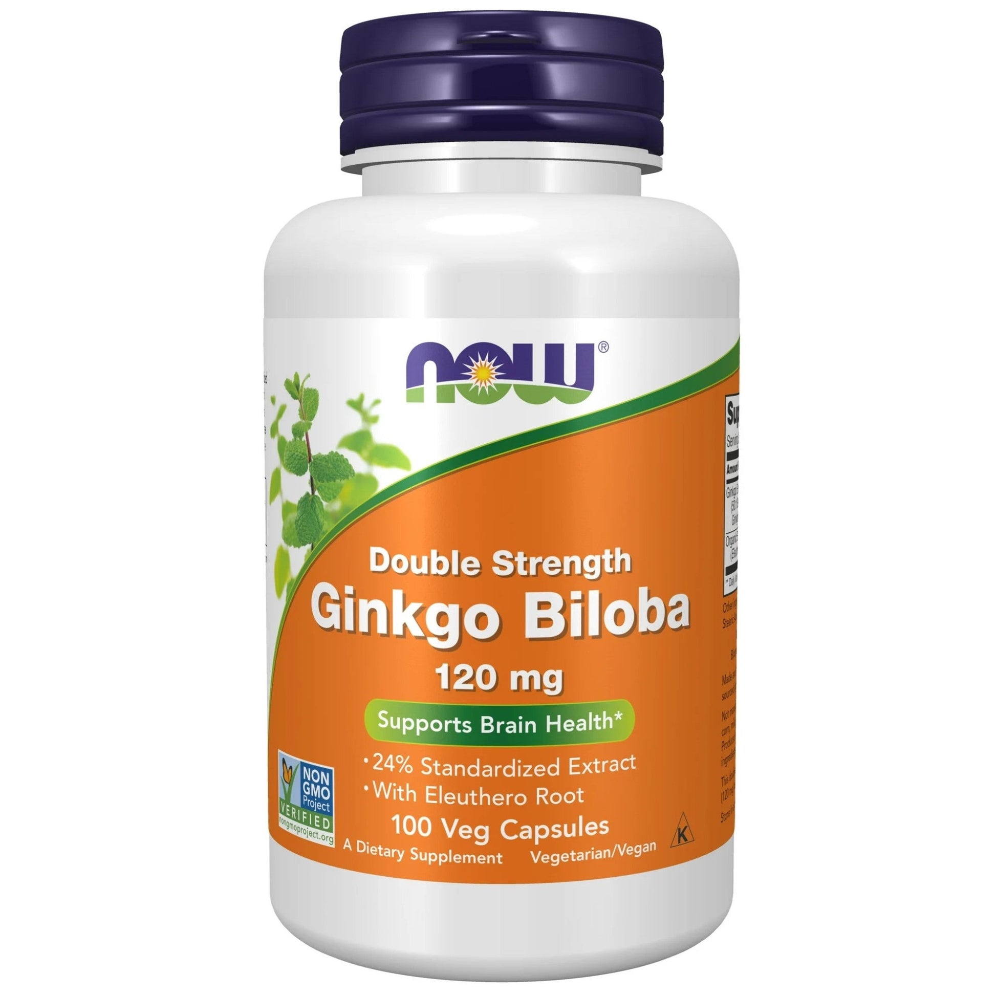 NOW Ginkgo Biloba 120mg 100 Vegan Capsules - Supports Stamina and Brain Health, Maintains Cognitive Function and Memory in Adults