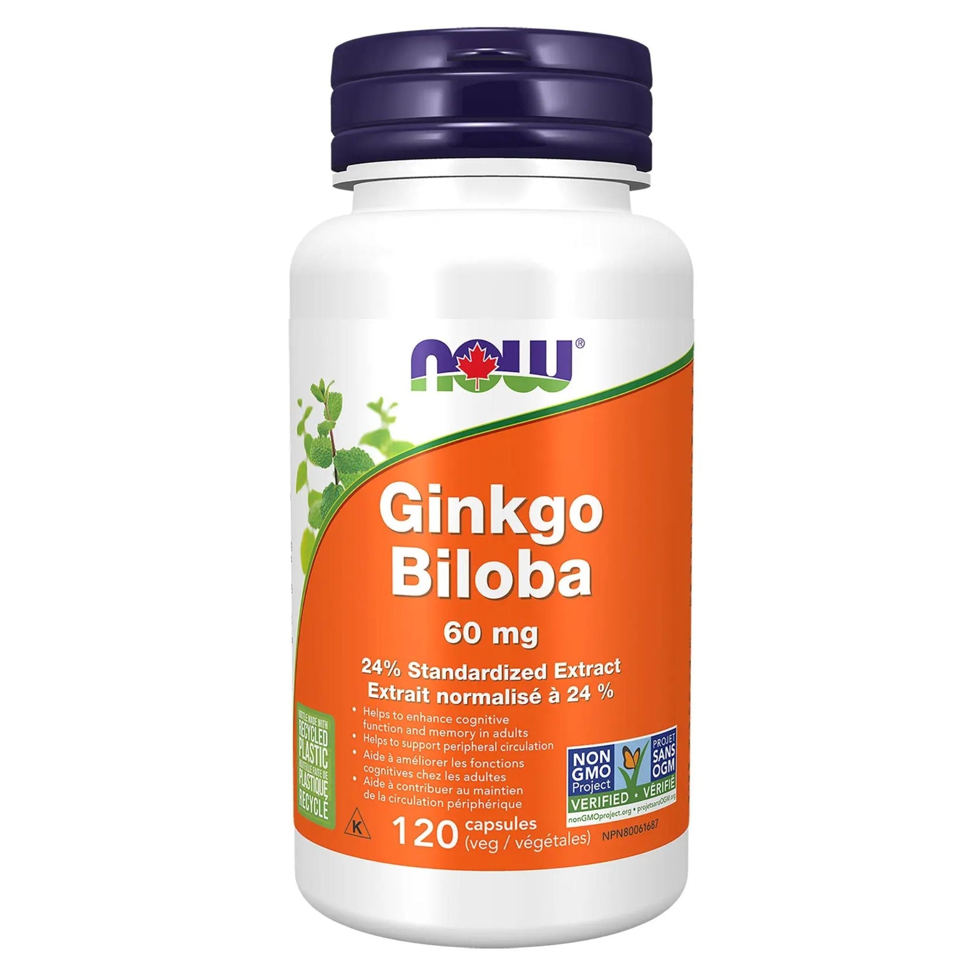 NOW Ginkgo Biloba Extract 60mg 120 Vegetable Capsules