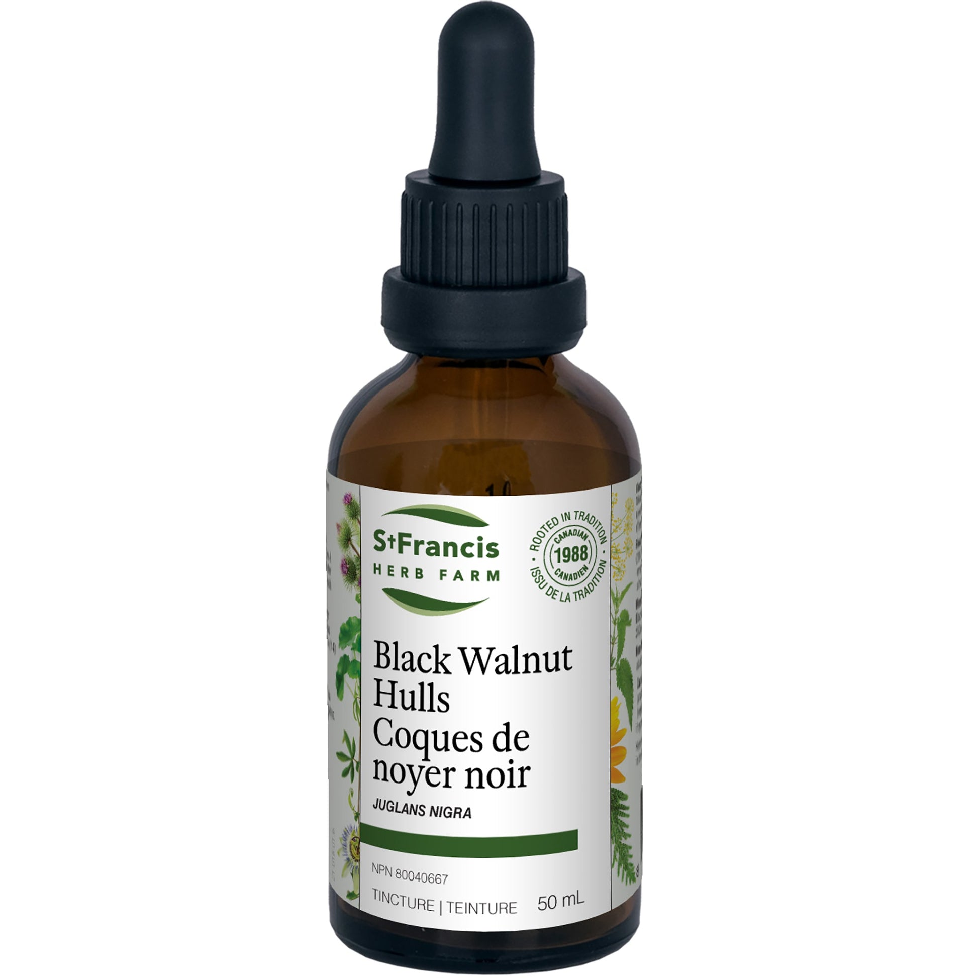 St. Francis Herb Black Walnut Hulls 50ml