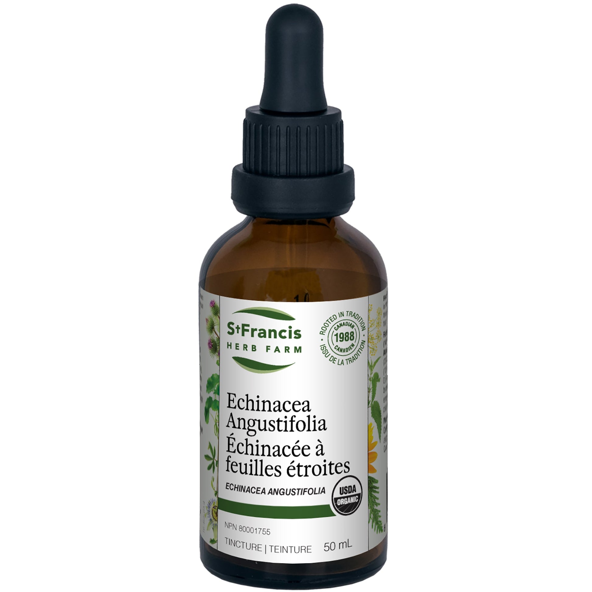 St. Francis Herb Echinacea Angustifolia 50ml