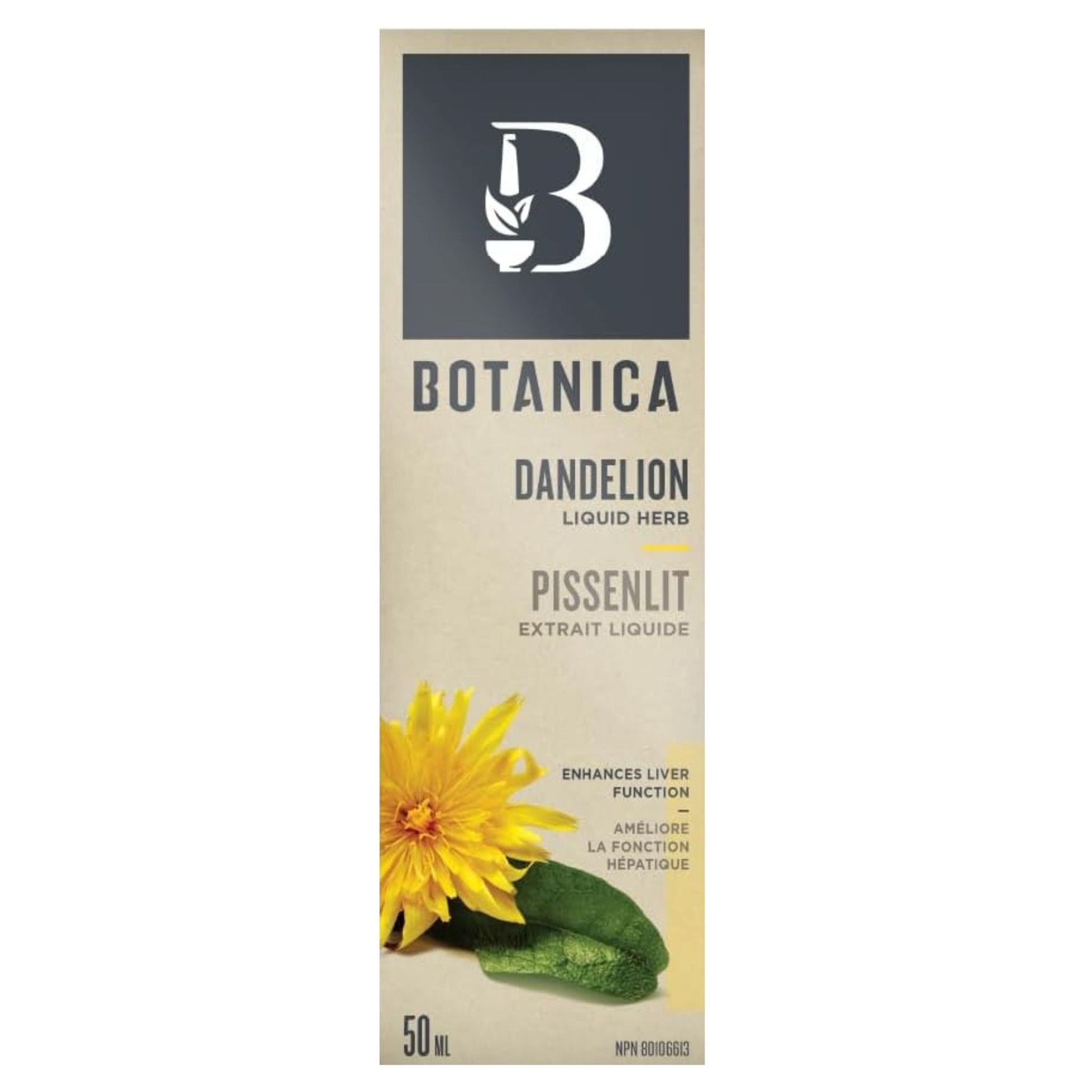 Botanica Dandelion Root 50ml - Enhances Liver Function, Source Of Vitamins A, B, and C, Iron, Potassium, And Zinc, Promotes Digestion, Ideal For Those With Slow Digestion
