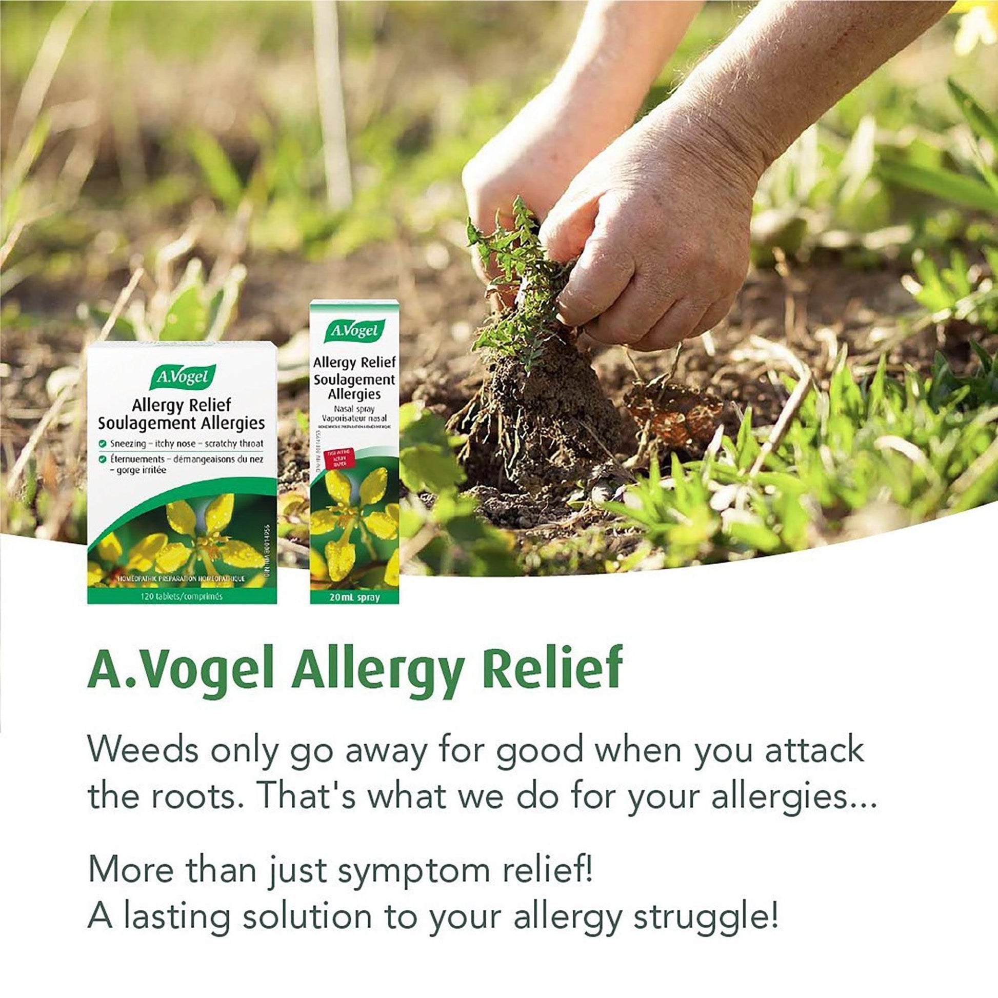 A. Vogel Allergy Relief 120 Tablets
