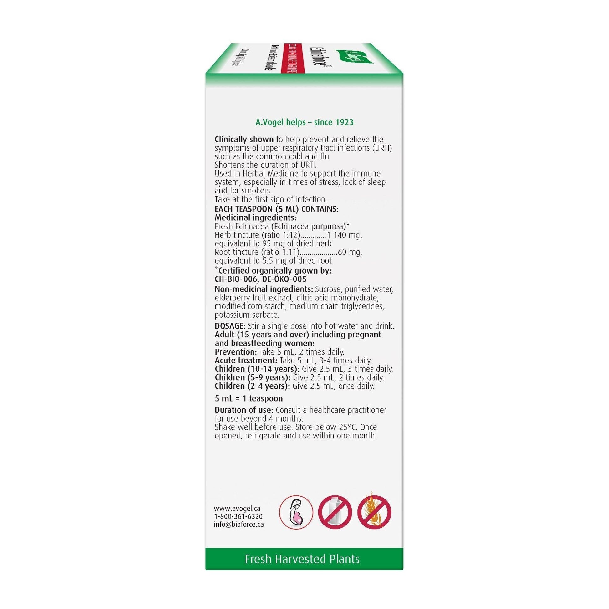 A. Vogel Echinaforce Hot Drink 100ml