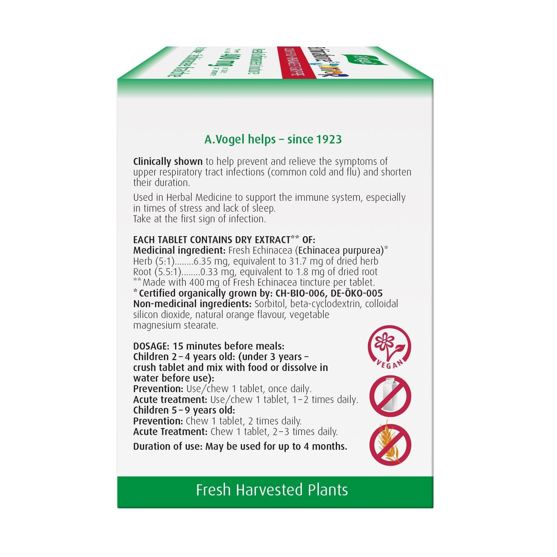 A. Vogel Echinaforce Junior 90 Tablets - Supports Immune System, Relieves And Reduces Duration Of Symptoms, Possesses Antibacterial And Anti-Inflammatory Properties, Helps Prevent Treat Colds And Flu