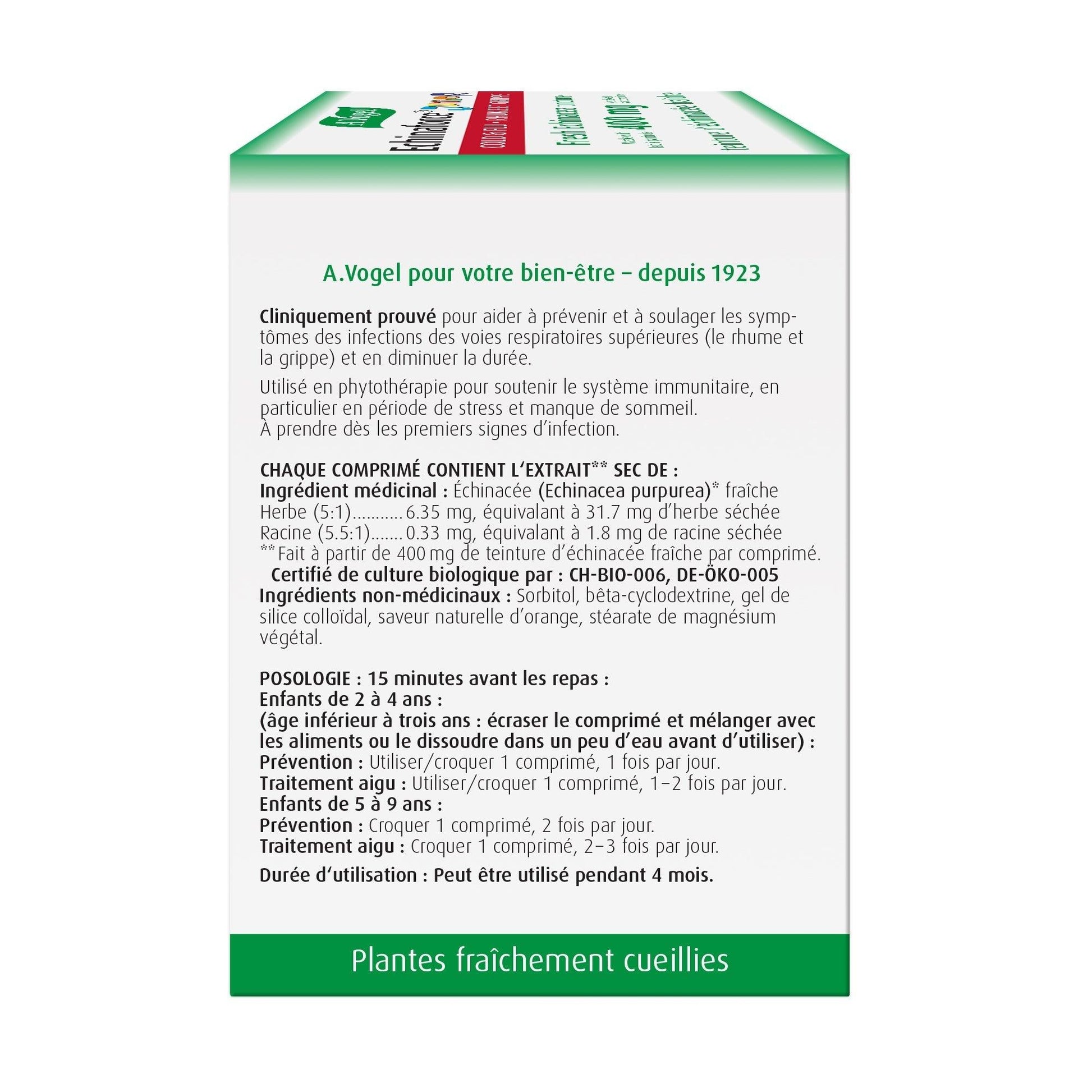 A. Vogel Echinaforce Junior 90 Tablets - Supports Immune System, Relieves And Reduces Duration Of Symptoms, Possesses Antibacterial And Anti-Inflammatory Properties, Helps Prevent Treat Colds And Flu