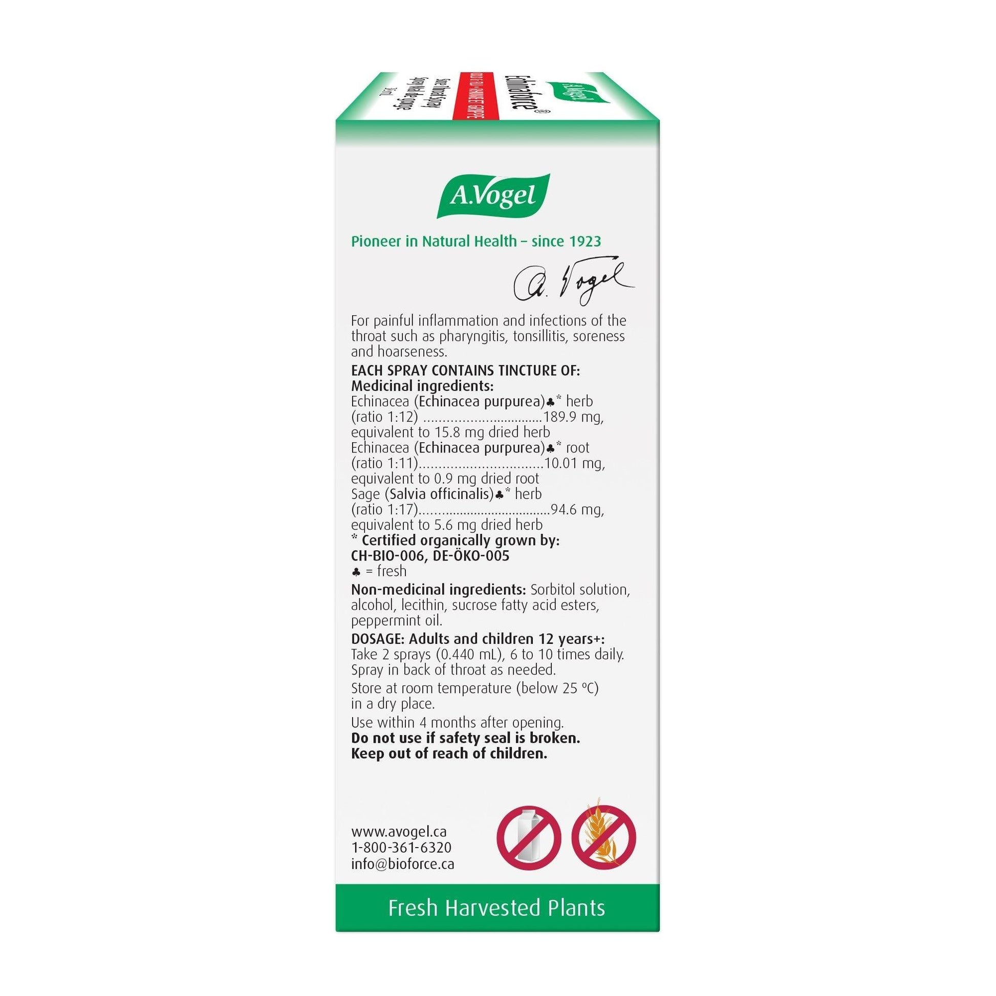 A. Vogel Echinaforce Sore Throat Spray 30ml