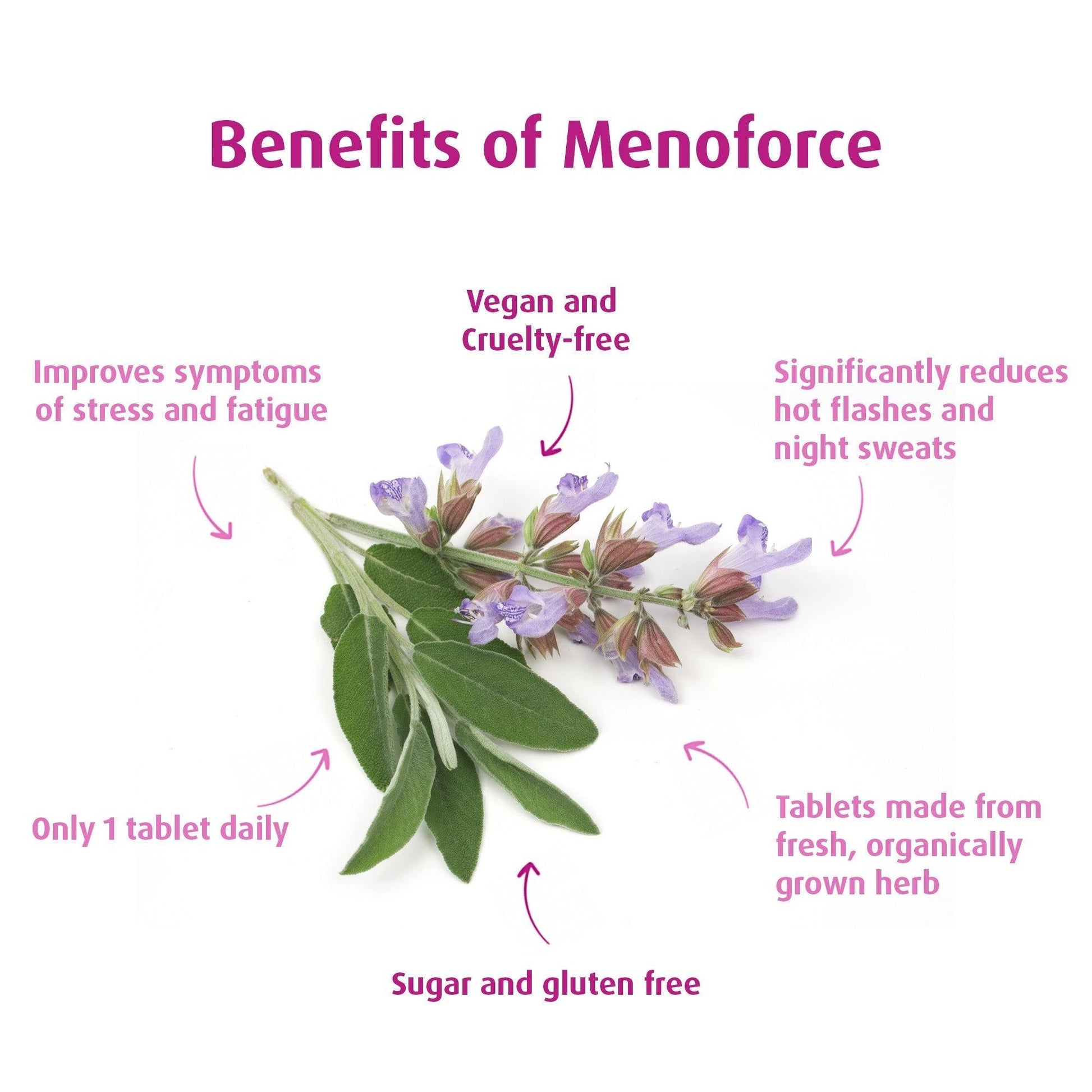 A. Vogel MenoForce 90 Tablets