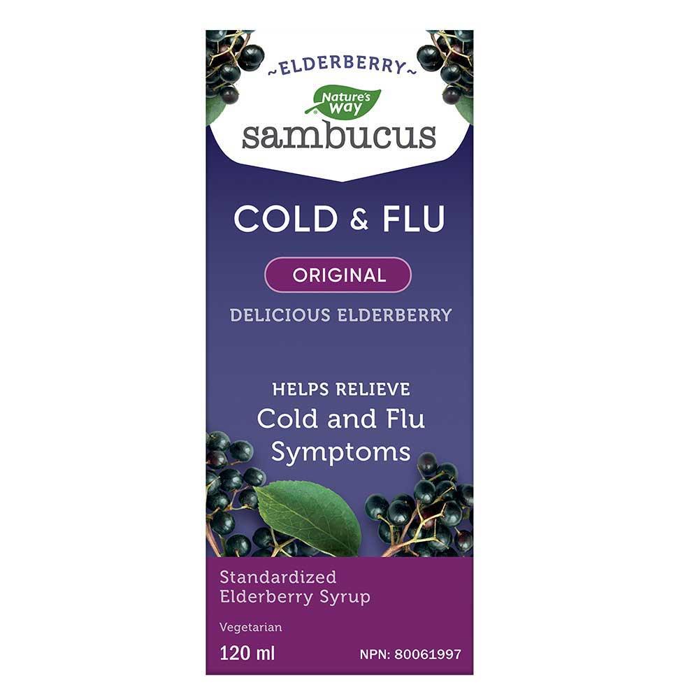 Nature's Way Original Sambucus Cold and Flu Care Syrup - 120ml - Nature's Source Inc