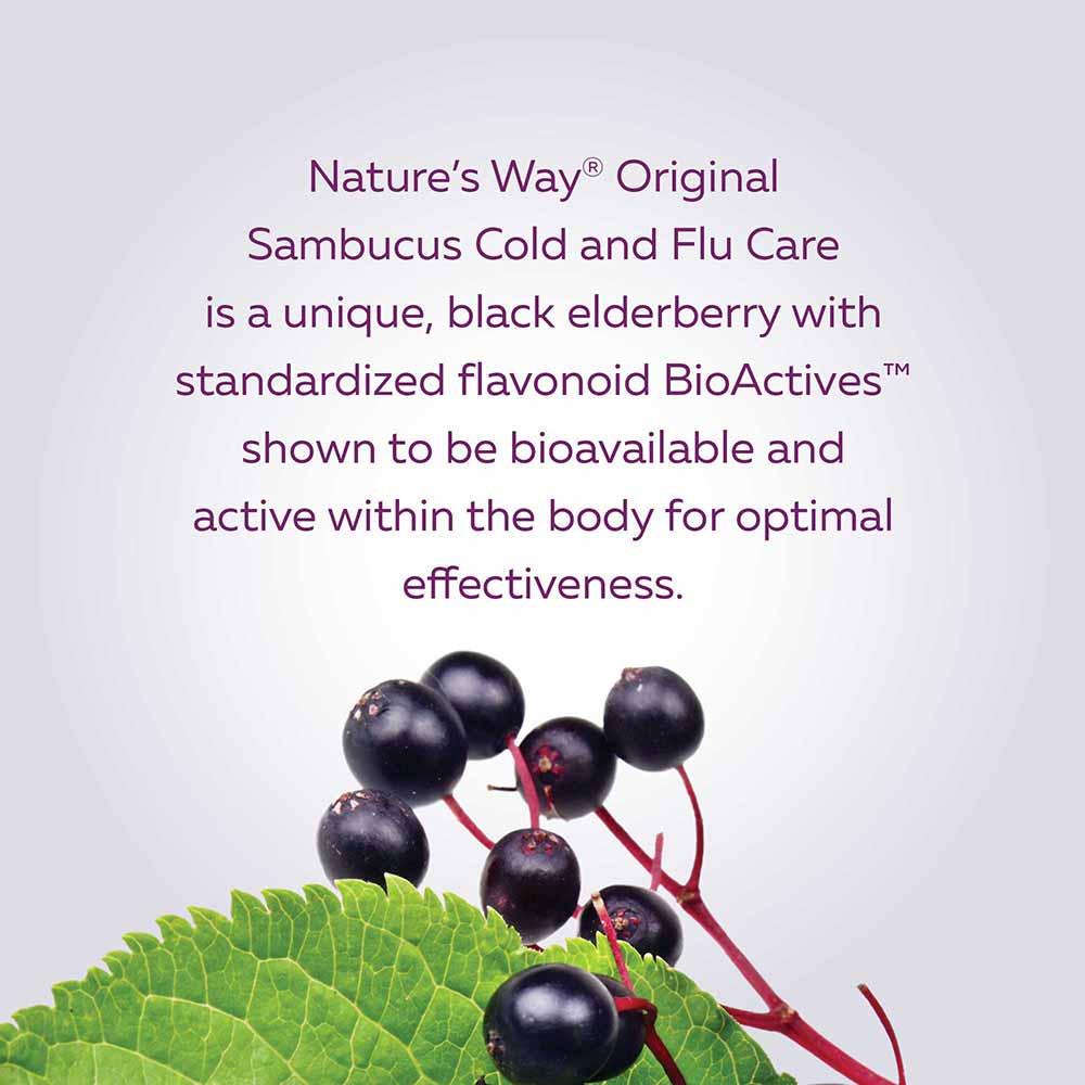 Nature's Way Original Sambucus Cold and Flu Care Syrup - 120ml - Nature's Source Inc