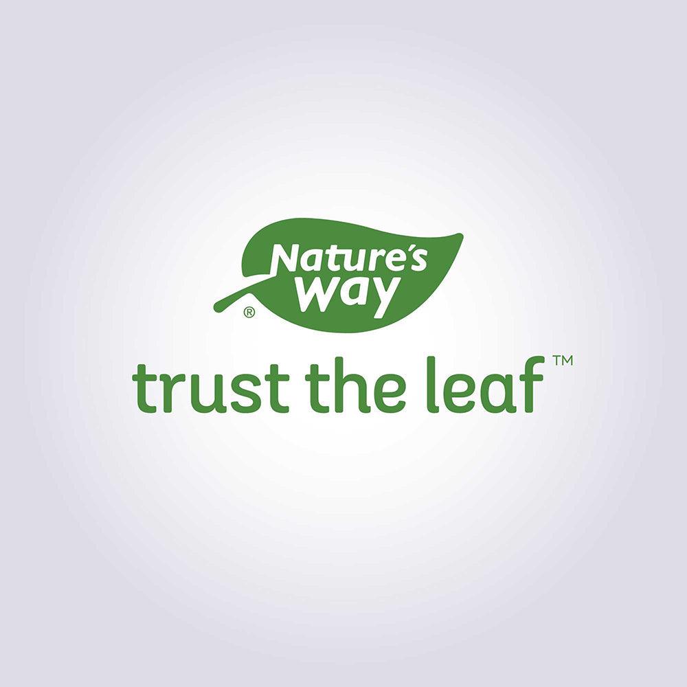 Nature's Way Original Sambucus Cold and Flu Care Syrup - 120ml - Nature's Source Inc