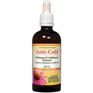 Natural Factors AntiCold & Goldenseal 100 mL - Nature's Source Inc