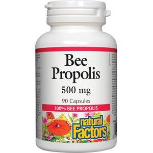 Natural Factors Bee Propolis 500mg 90c - Nature's Source Inc