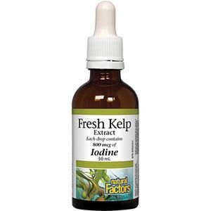 Natural Factors Fresh Kelp Extract 50 mL - Nature's Source Inc