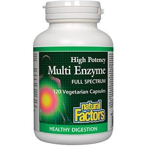 Natural Factors Multi Enzyme High Potency 120vc - Nature's Source Inc