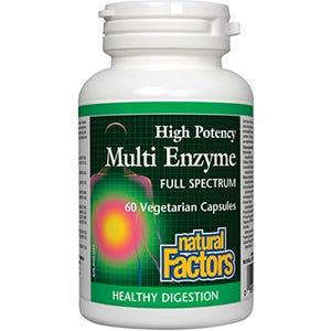 Natural Factors Multi Enzyme High Potency 60vc - Nature's Source Inc