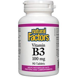 Natural Factors Vitamin B3 100 mg 90t - Nature's Source Inc