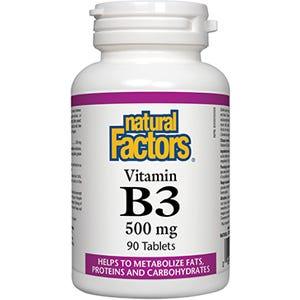 Natural Factors Vitamin B3 500 mg 90t - Nature's Source Inc