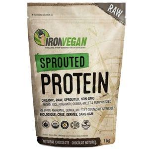 Iron Vegan Sprouted Protein Chocolate 1 kg - Nature's Source Inc