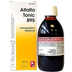Dr. Reckeweg R95 Alfalfa tonic 250ml - Boosts Energy Levels And Vitality, Supports Appetite Improvement, Enhances Overall Well - Being, Natural And Safe Dietary Supplement - Nature's Source Inc