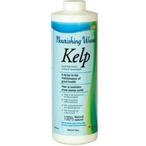 Nourishing Waves 100% Natural Liquid Kelp 450ml - Nature's Source Inc