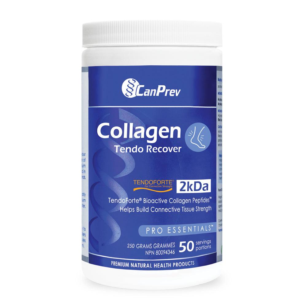 CanPrev Collagen Tendo Recover 250g - Nature's Source Inc