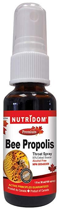 Nutridom Bee Propolis 30ml - Nature's Source Inc