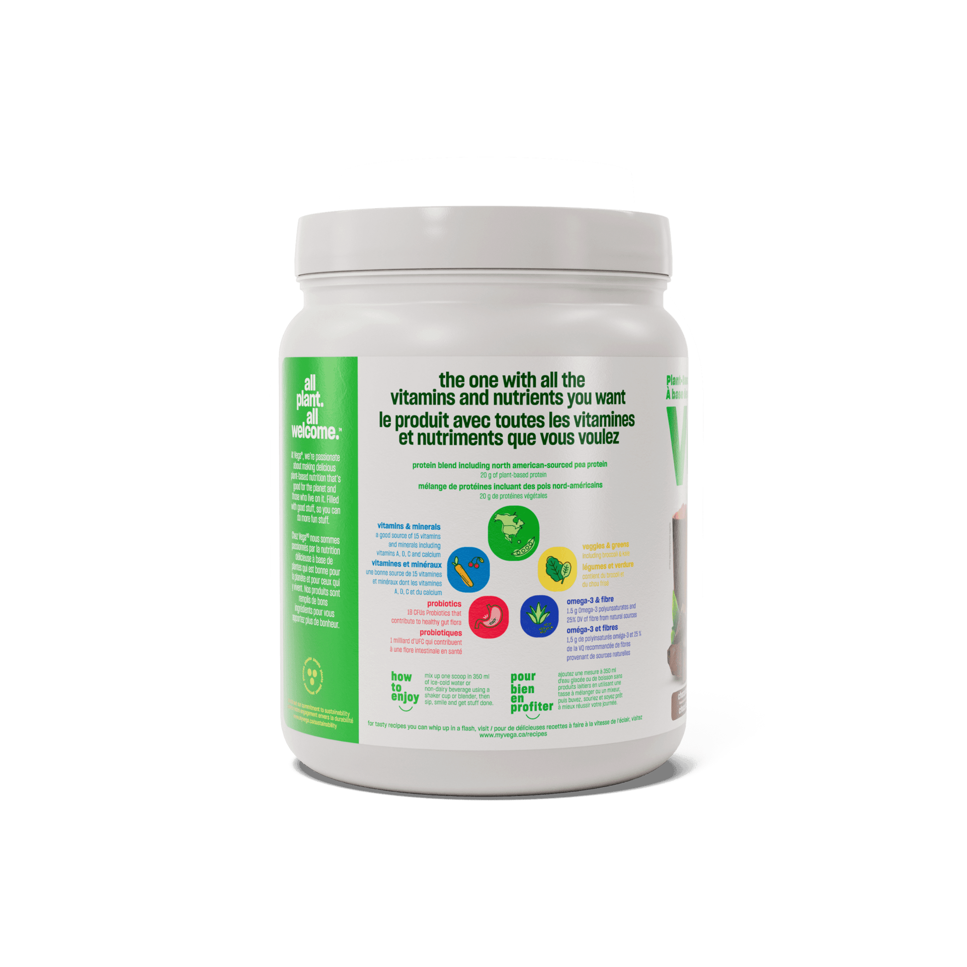 Vega One Protein Chocolate 461g - Nature's Source Inc