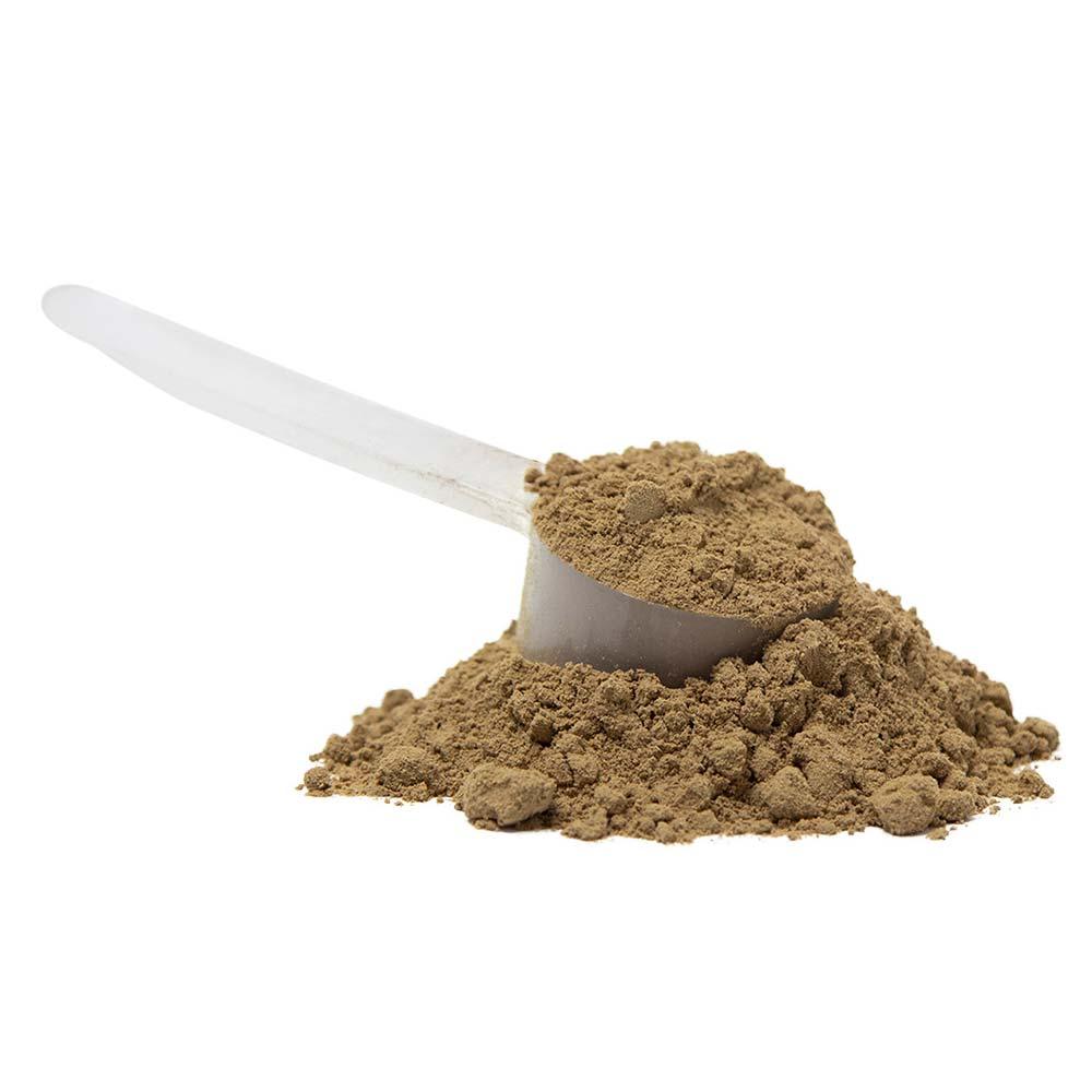 KidStar All - in - One Plant - Based Protein Cocoa 400g - Nature's Source Inc