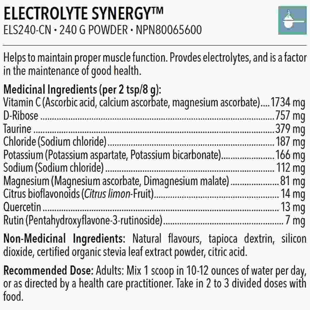 Designs for Health Electrolyte Synergy™ 240 Grams - Nature's Source Inc